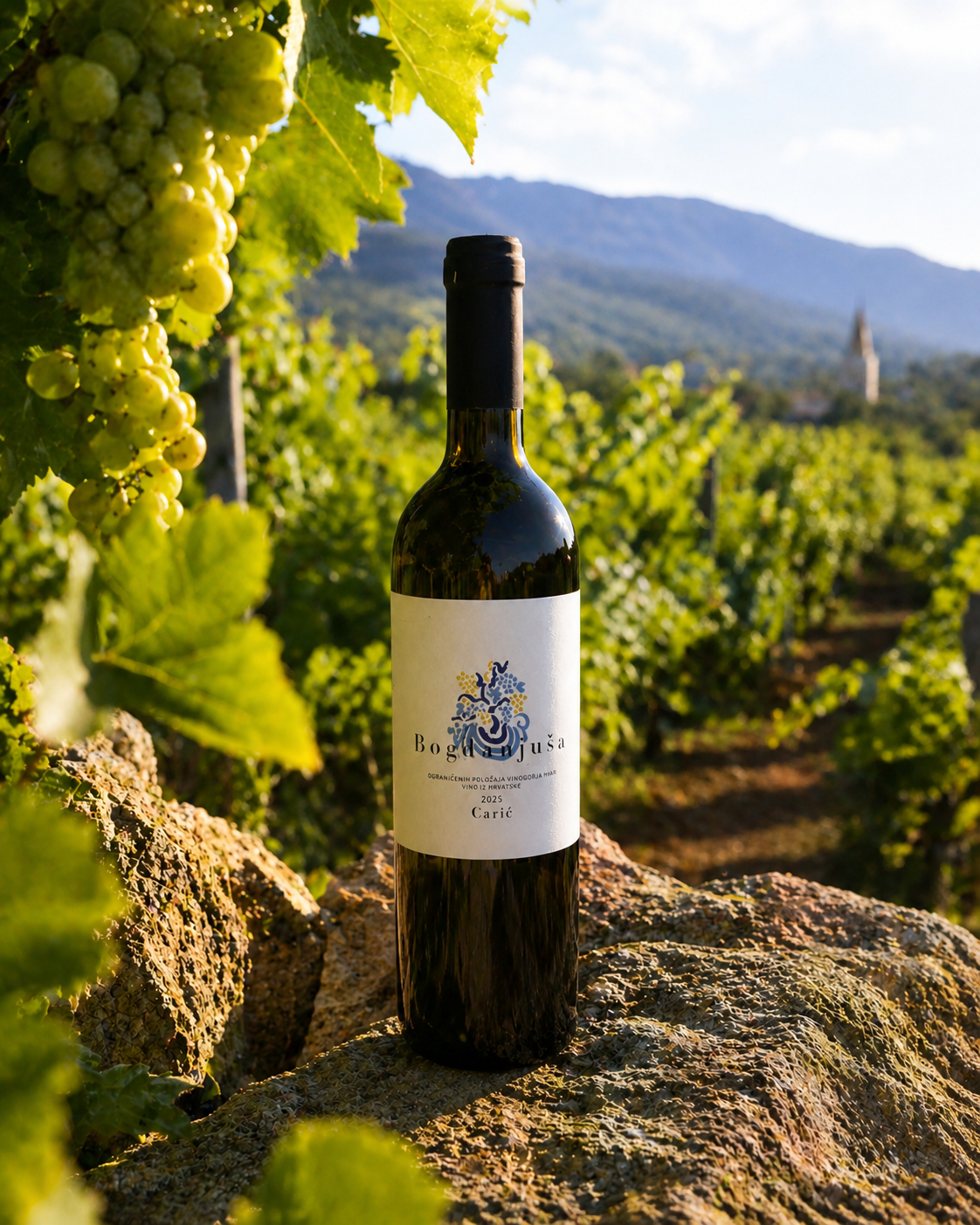 Vina Caric Bogdanjusa