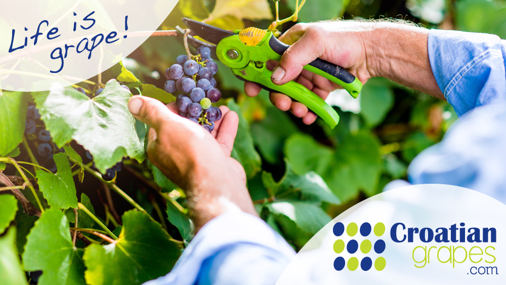 Nieuwsbrief September 2020