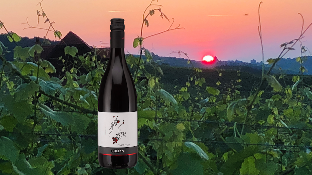 Bolfan Pinot Noir