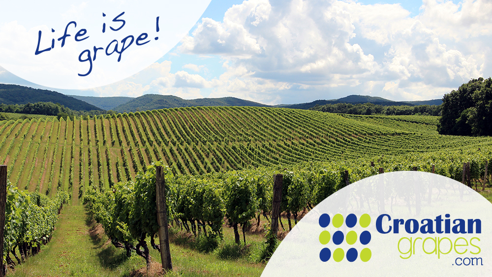 Niewsbrief september