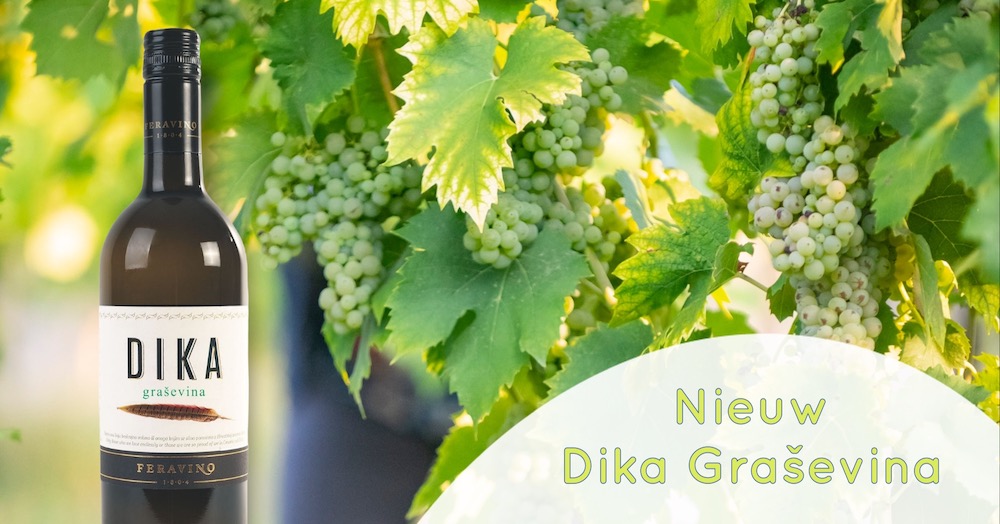 Nieuw Feravino Dika Grasevina